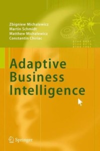 Image of Adaptive Business Intelligence