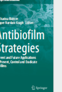 Antibiofilm Strategies