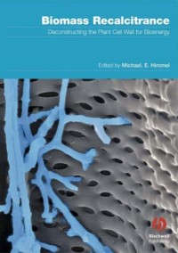 Image of Biomass Recalcitrance