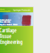Cartilage Tissue Engineering
