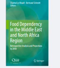 Food Dependency in the Middle East and North
Africa Region