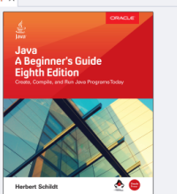 Java is beginners guide