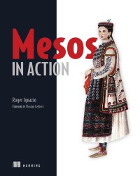 Image of Mesos In Action