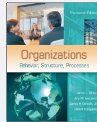 Organizations Behavior, Structure, Processes