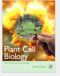 Plant cell biology