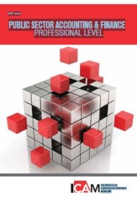 PUBLIC SECTOR ACCOUNTING & FINANCE PROFESSIONAL LEVEL