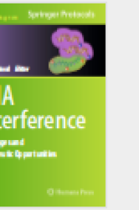 RNA Interference Challenges and Therapeutic Opportunitie