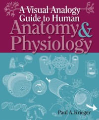Image of BASIC Anatomy