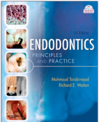 ENDODONTICS: PRINCIPLES AND PRACTICE