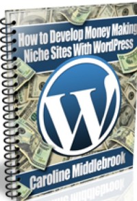 Image of How to Develop Money-Making Niche Site with WordPress
