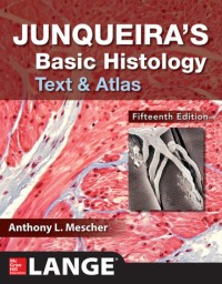 Image of Junqueiras Basic Histology