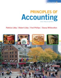 Image of k3n6y8 Principles of Accounting