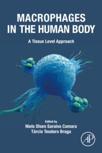 Image of Macrophages in the Human Body: A Tissue Level Approach