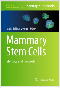 Mammary Stem Cells