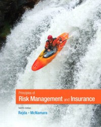 Image of mcnamara (Principle of Risk Management)