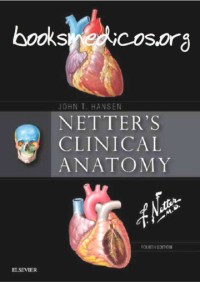 Image of Netter's Clinical Anatomy 4th Edition