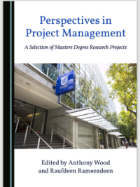 Perspectives in Project 
Management