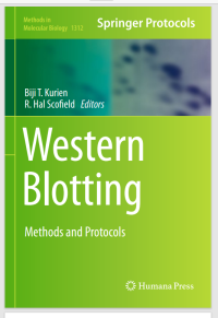 Western Blotting