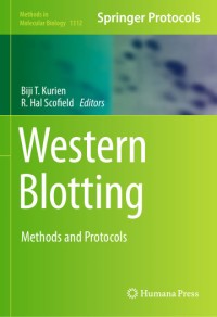 Image of Western Blotting: Methods and Protocols